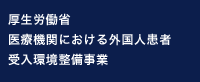 厚生労働省 医療機関における外国人患者 受入環境整備事業